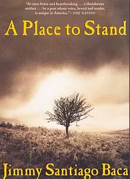 A Place to Stand book cover