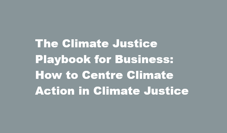 The Climate Justice Playbook for Business screenshot