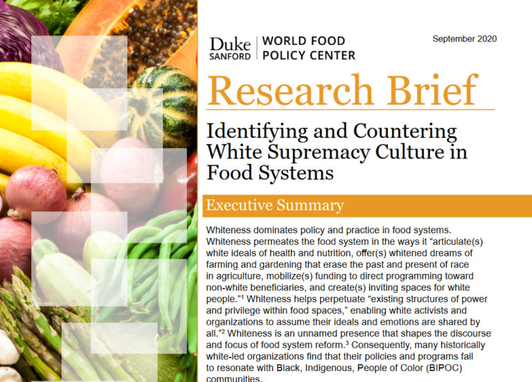 Whiteness Food Movements Research Brief WFPC screenshot